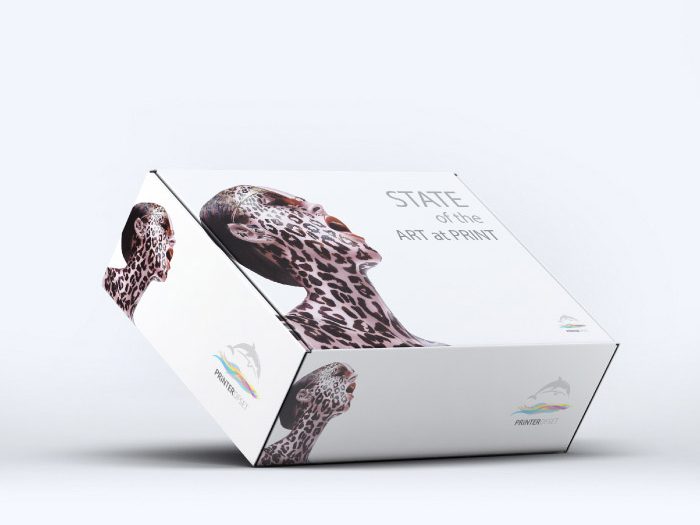 Printer Ofset — matbaa görseli