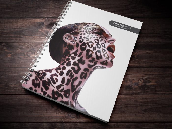 Printer Ofset — matbaa görseli